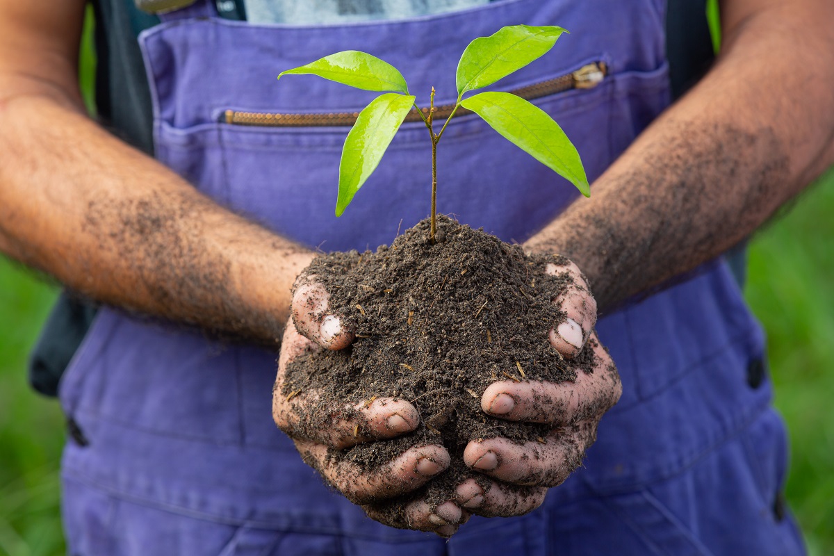 close-up-picture-of-gardener-s-hand-holding-the-sapling-of-the-plant