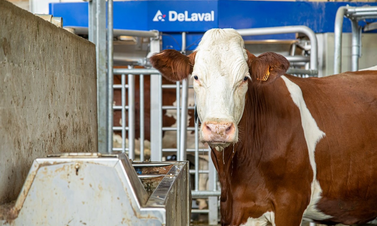 DELAVAL_AGTRACKS-7872