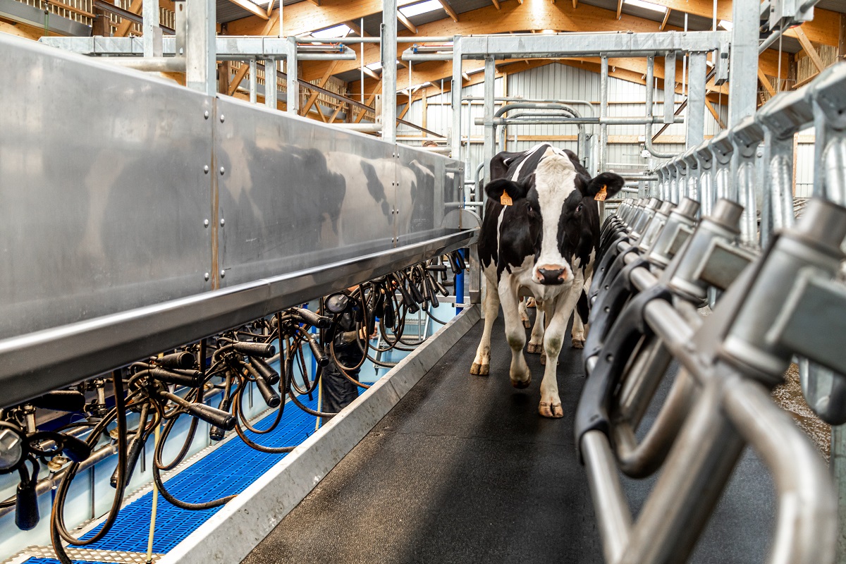 DELAVAL_AGTRACKS-6977