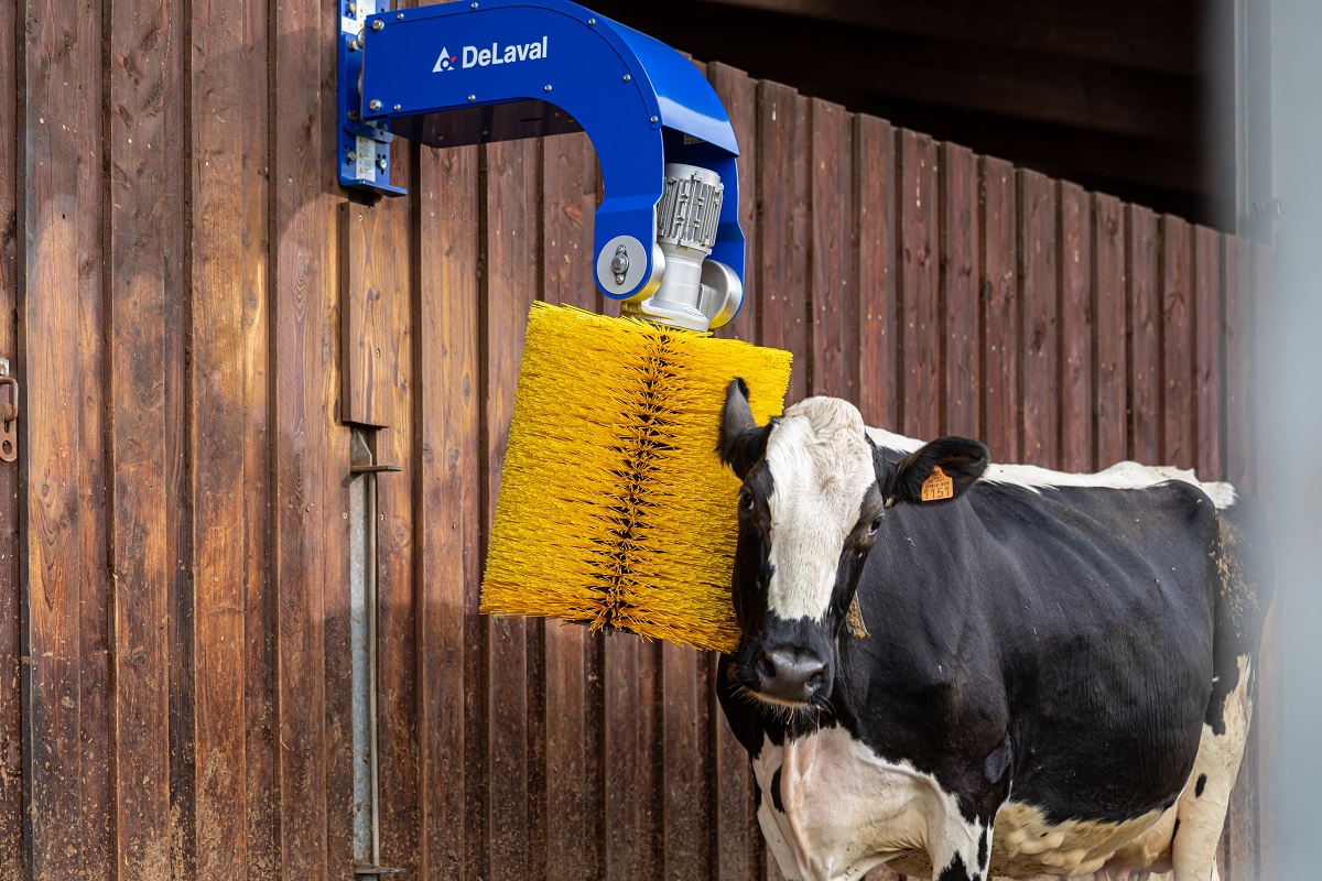 DELAVAL_SCB_FL_TGUILLET_AGTRACKS-2401