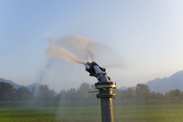 Commercial Irrigation